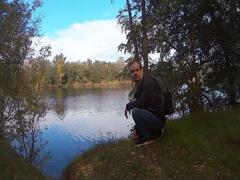 Видео: ПВД 2022 | Поход в осенний лес |  SOLO BUSHCRAFT CAMP