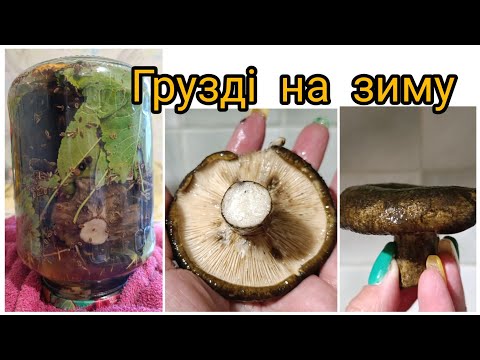 Видео: Мариновані гриби Груздь чорний маринований в банках на зиму Смачний і простий рецепт маринаду грибів