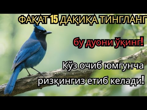 Видео: ФАҚАТ 15 ДАҚИҚА ТИНГЛАНГ бу дуони ўқинг! Кўз очиб юмгунча ризқингиз етиб келади!