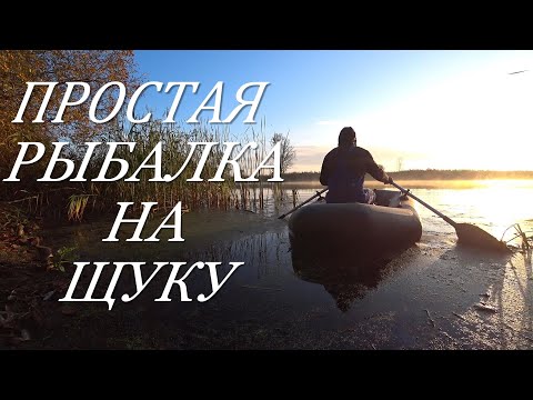 Видео: Ловля ЩУКИ осенью. 7 советов. Лучший живец.