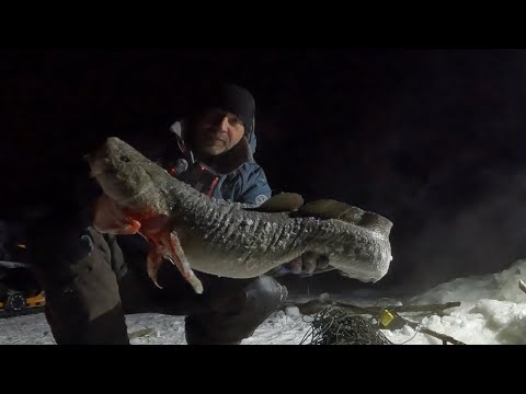 Видео: ПРИШЕЛ НЕЗВАНЫЙ ГОСТЬ | УГОСТИЛ НАЛИМОМ | ПРОВЕРКА ПЕРЕМЕТА 11.11.2025