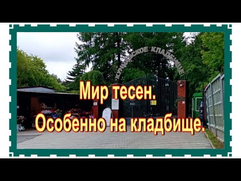 Видео: Не поверите!! Нашла могилу отца певца Николая Баскова. Кунцевское кладбище