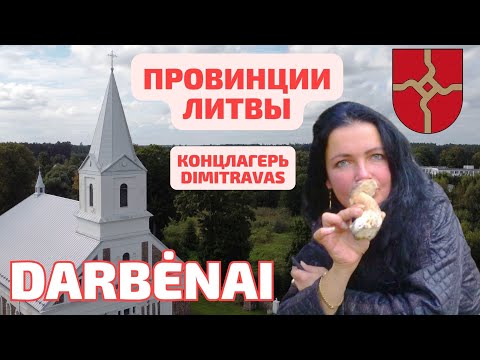 Видео: Darbėnai - грибная столица Жемайтии. Летний ЛЕС. Литва #lietuva #dronevideo