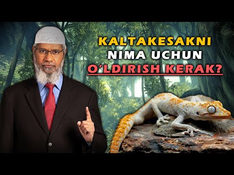 Видео: Др. Закир Найк | Калтакесакни нима учун ўлдириш керак?