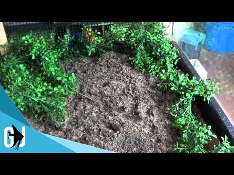 Видео: #255: Как сделать гнездо для черепахи (таймлапс) — DIY Wednesday