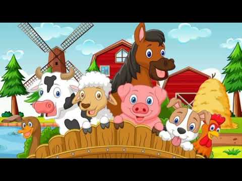 Видео: Дидактична гра "Відгадай хто?" (свійські тварини) / Все для дошкільнят Цікавинки від Мурчинки