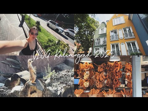 Видео: Влог Калининград 2025: остров Канта/хостел Bed Idea/Зоопарк/Зеленоградск/Светлогорск