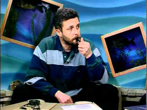 Видео: Диалоги о рыбалке - Налим, ленок, сиг