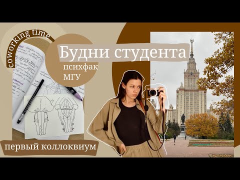 Видео: Будни студента психфака МГУ🍂