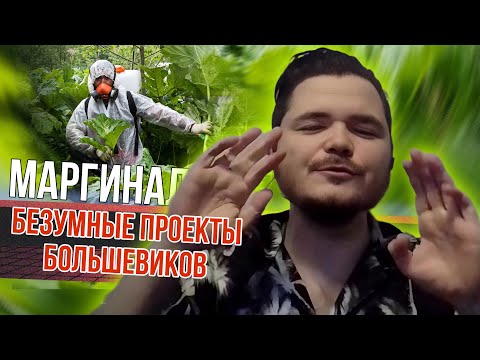 Видео: Маргинал про безумные проекты большевиков