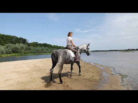 Видео: …ОНА отражение тебя