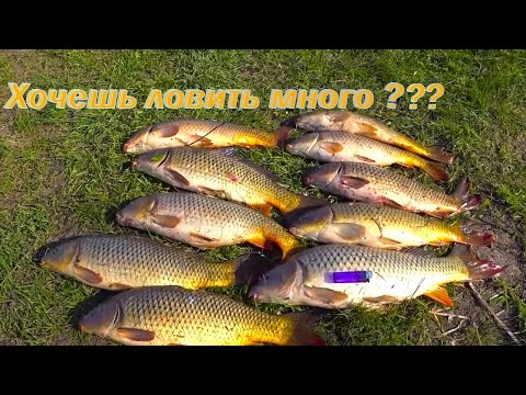 Видео: САМЫЙ УЛОВИСТЫЙ МОНТАЖ !!!