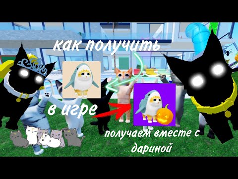 Видео: как получить кота акулу в игре с котятами 🌘🦇 получаем вместе с дариной 💕