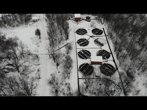 Видео: Запах Миньяра.