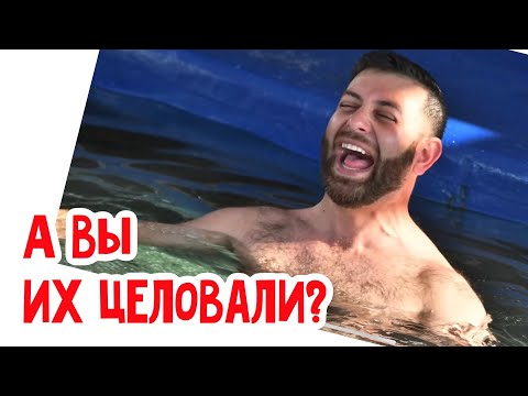 Видео: Какие же они классные! #кухня  #рецепт #простойрецепт