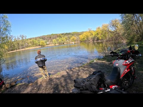 Видео: Ловим краснотву