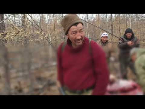 Видео: Охота на лося в Центральной Якутии!