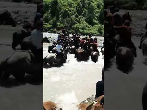 Видео: Ноокен Сере жайлоосу