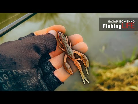 Видео: Як Ловити Щуку В Холодній Воді? - Приманка Має Значення