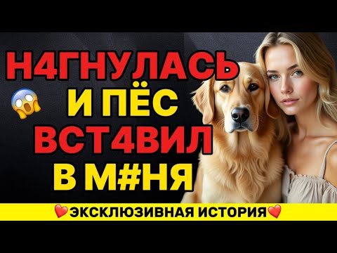 Видео: Оя не ожидала, что мой собака станет моей...