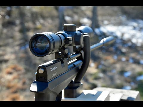 Видео: Диана Чейзер