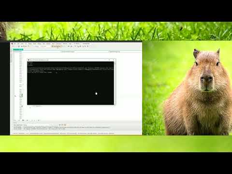 Видео: Собеседование  на .NET-middle (анализ c# кода и написание sql)