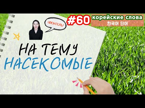 Видео: Корейские слова на тему "Насекомые"