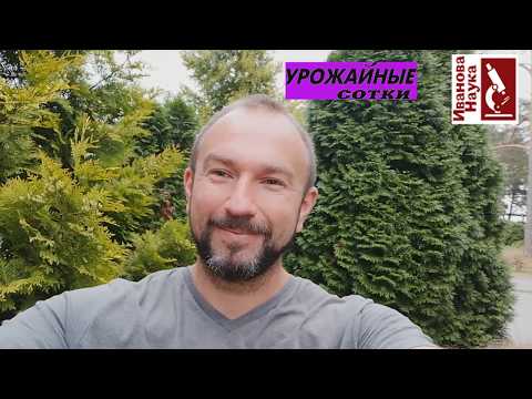 Видео: Неприхотливые сорта туи для каждого сада. Какой сорт выбрать?