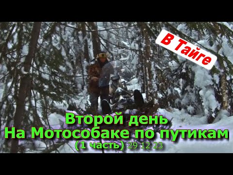 Видео: Второй день На Мотособаке по путику (1 часть) 29 12 23