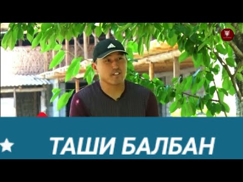 Видео: Таши Майлыбашев: Баары эле Улак чаба бербейт, канында болсо чабат