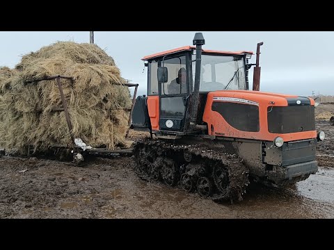 Видео: ВТГ-90, МТЗ 82 работают на ферме
