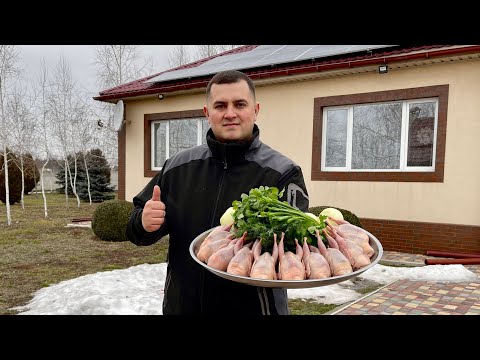 Видео: Шашлык из ПЕРЕПЕЛОВ в большом количестве АРОМАТНОЙ ЗЕЛЕНИ ENGLISH SUB