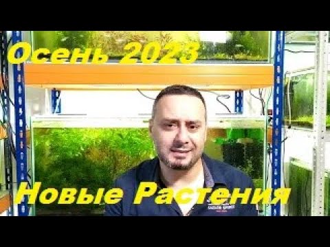 Видео: Осень 2023. Растительные новости