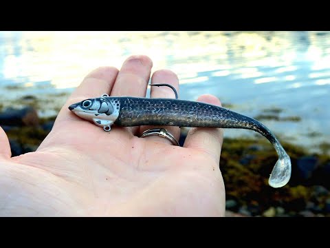 Видео: Рыбалка в Норвегии с берега. Какие приманки ЛОВЯТ? Норвегия. Рыбалка в Норвегии 2021. Люр. Треска.