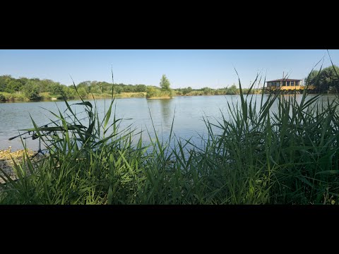 Видео: Короткая рыбалка на КРАСНОЙ ПОЛЯНЕ