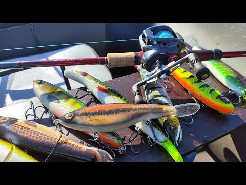 Видео: Shimano Scorpion MD 301. Тестовая рыбалка.
