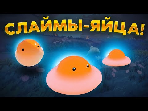 Видео: Slime Rancher 2. ЛОВИМ ЯИЧНЫХ СЛАЙМОВ!