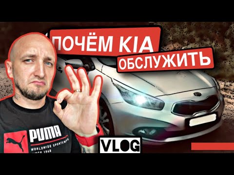 Видео: СКОЛЬКО хочет KIA CEED? LIVEнь_12/kia ceed #замена масло #цены на запчасти