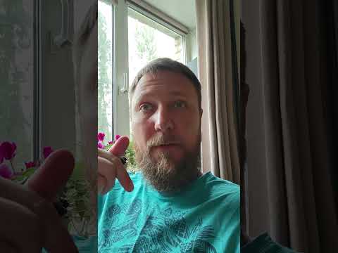 Видео: Мир=лицо