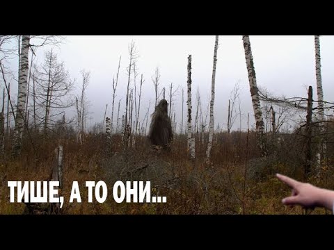 Видео: ОН ЗАБЕРЁТ ТВОЙ КРИК. Страшные. Мистические. Творческие истории. Хоррор