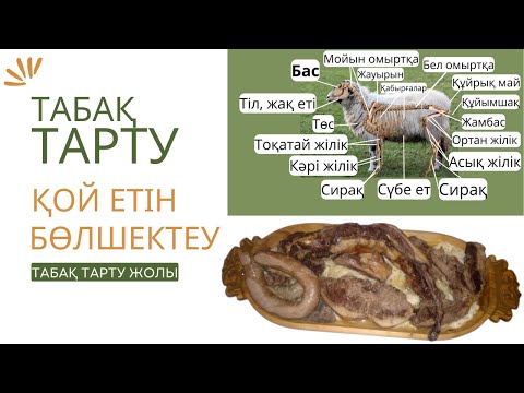 Видео: Қой етін мүшелеу. Табақ тарту. Бешбармақ. Beshbarmaq