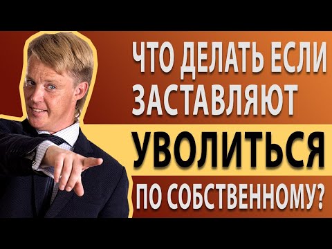 Видео: Заставляют уволиться по собственному. Что делать если хотят уволить.