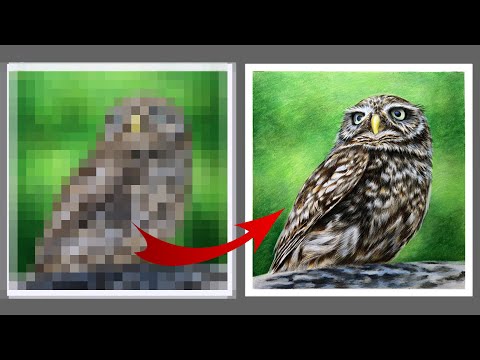 Видео: Эта ошибка портит всё 👍СОВЕТЫ как рисовать реалистичных птиц 🔥 Рисунок совы цветными карандашами