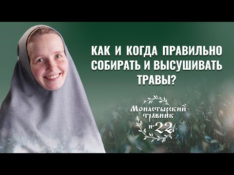 Видео: Заготовка лекарственных растений. Как собирать, высушивать и хранить травы?  Монастырский травник