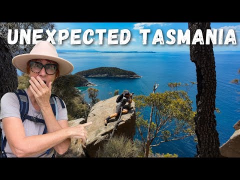 Видео: ОСТРОВ БРУНИ, Тасмания — это лучший остров Австралии?