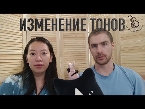 Видео: Изменения тонов для 一 и 不, урок фонетики китайского языка (еще один)