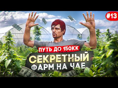 Видео: ТАЙНОЕ ВЫРАЩИВАНИЕ ЧАЯ - ДАЛИ ВЗЯТКУ, но СПАЛИЛА КРЫСА - ПУТЬ до 150КК #13 в GTA 5 RP \ MAJESTIC RP