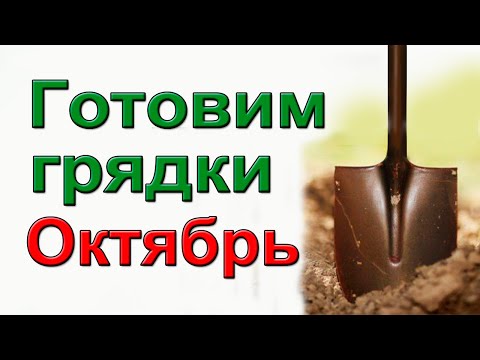Видео: Как сделать урожайные грядки для томатов.  Пошаговая инструкция