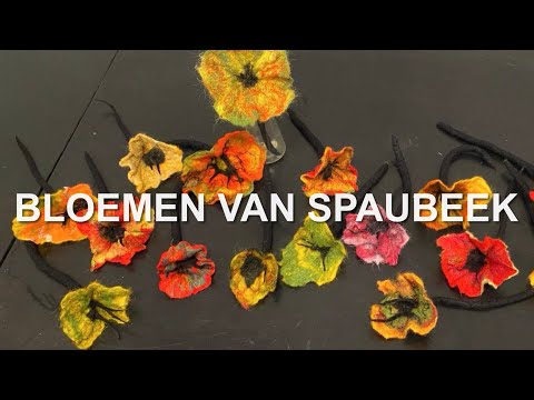 Видео: Bloemen van Spaubeek / Цветы Spaubeek
