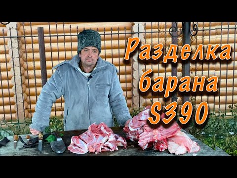 Видео: Тест Чукотки и Алтайского из стали S390